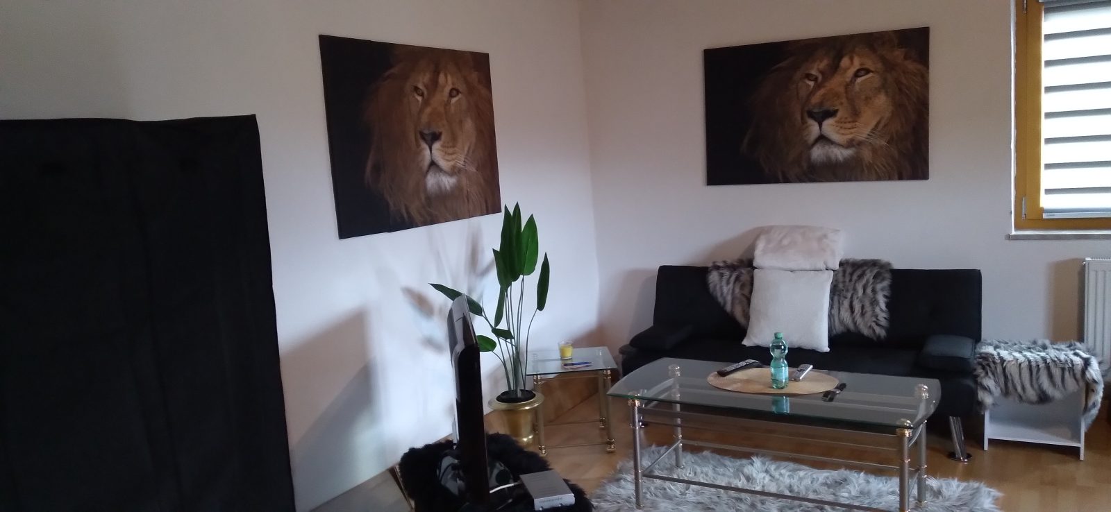 Foto 2 zu „Schlafsofa mit Tisch und Beistelltisch und offener Kleiderschrank und Schuhschra“