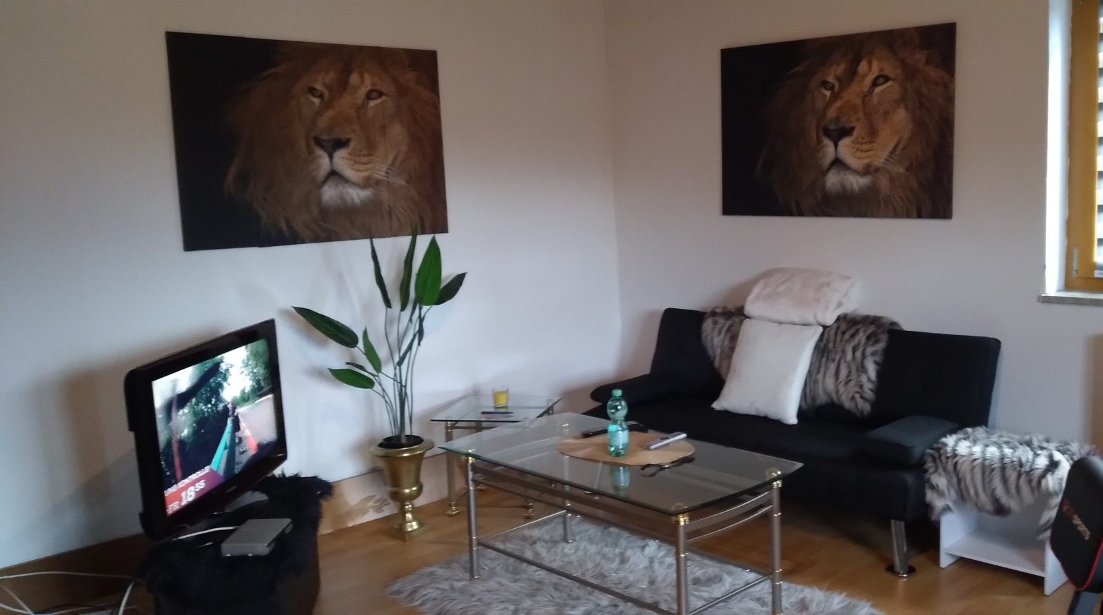 Foto 1 zu „Schlafsofa mit Tisch und Beistelltisch und offener Kleiderschrank und Schuhschra“